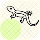 Agame Bleu Agame Bleu Reptile Icône