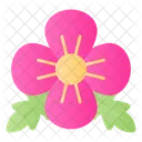 Remembrance Day Poppy 아이콘
