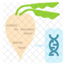 Remolacha Azucarera OGM Genetica Icon