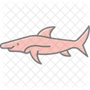 Remora Ocean Marine Icon