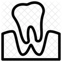 Estomatologia Odontologia Dente Ícone