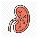 Unhealthy Stones Renal Calculi アイコン