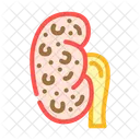 Renal Failure Urology Icon