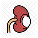 Renal Cyst Color Icon
