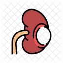 Renal Quiste Color Icono