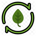 Renewable Leaf Renewable Plant Icon