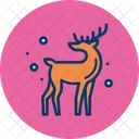 Renna Cervo Rudolph Icon