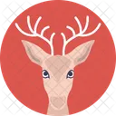 Renna Fauna Selvatica Natale Icon