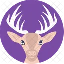 Renna Fauna Selvatica Natale Icon