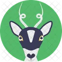 Renna Fauna Selvatica Natale Icon