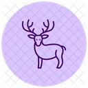 Reno Icono