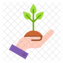 Replant  Symbol