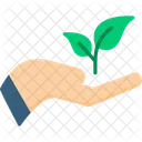 Replant Reforestation Plantation Icon