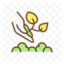 Plant Replant Seed Icon