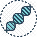 복제 재생산 DNA 아이콘