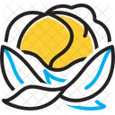 Repollo  Icono