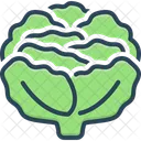 Repollo  Icono