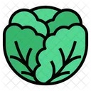 Repollo  Icono