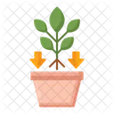 Repotting Pot Green Icon