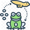 Reproduced Beget Tadpole Symbol