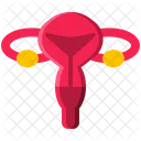 Femelle Reproductrice Icône