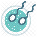 Sexual Asexual Embryo Icon