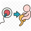 Reproductive Process Biology Icon