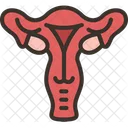 Reproductive Female Cervix Icon
