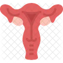 Reproductive Female Cervix Icon