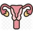 Reproductive Female Ovary Icon