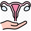 Reproductive Health Reproductive System Uterus Icon