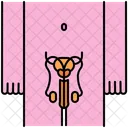 Reproductive System Penis Icon
