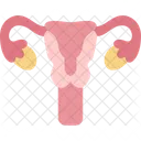 Reproductive Female Ovary Icon