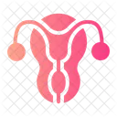 Reproductive System Uterus Anatomy Icon