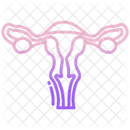 Reproductive System  Icon