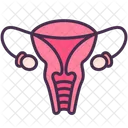 Reproductive System Ovary Vagina Icon