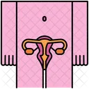Reproductive System Uterus Ovary Icon