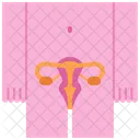 Reproductive system  Icon