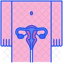 Reproductive System Uterus Ovary Icon