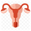 Reproductive System Icon