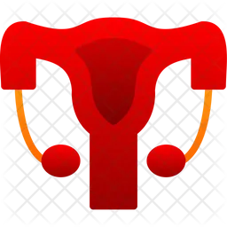 Reproductive system  Icon