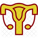 Reproductive System Anatomy Human Icon