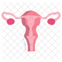 Reproductive System Ovary Fallopian Tube Icon