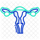 Reproductive System  Icon
