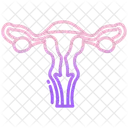 Reproductive System Ovary Fallopian Tube Icon