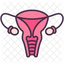 Reproductive System Ovary Vagina Icône