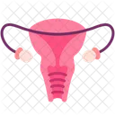 Reproductive System Ovary Vagina Icône