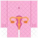 Reproductive System Uterus Ovary Icon
