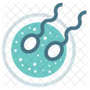 Sexuell Asexuell Embryo Icon