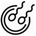 Sexuell Asexuell Embryo Icon